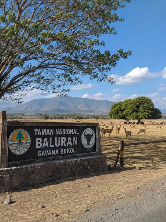 Baluran Nationalpark
